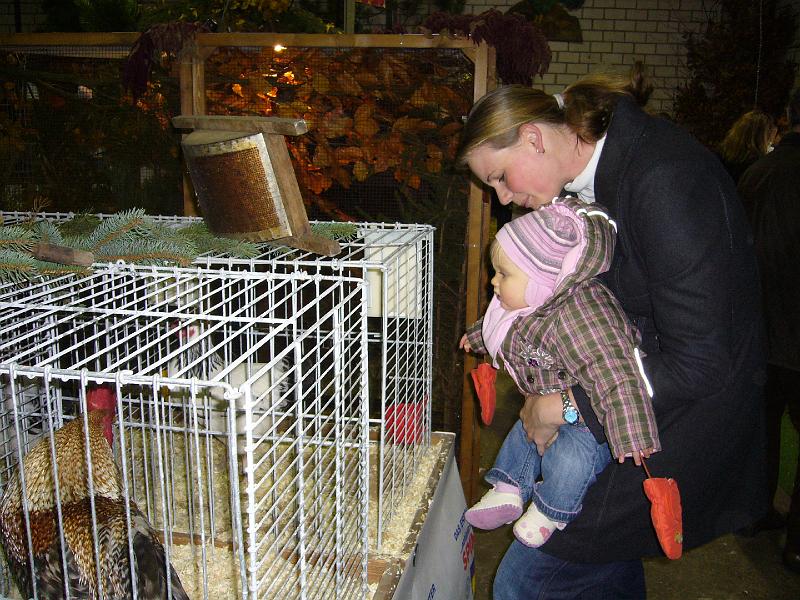 Mastholte 2008 193.jpg - Jugendbetreuung während der Rassegeflügelschau Mastholte 2008